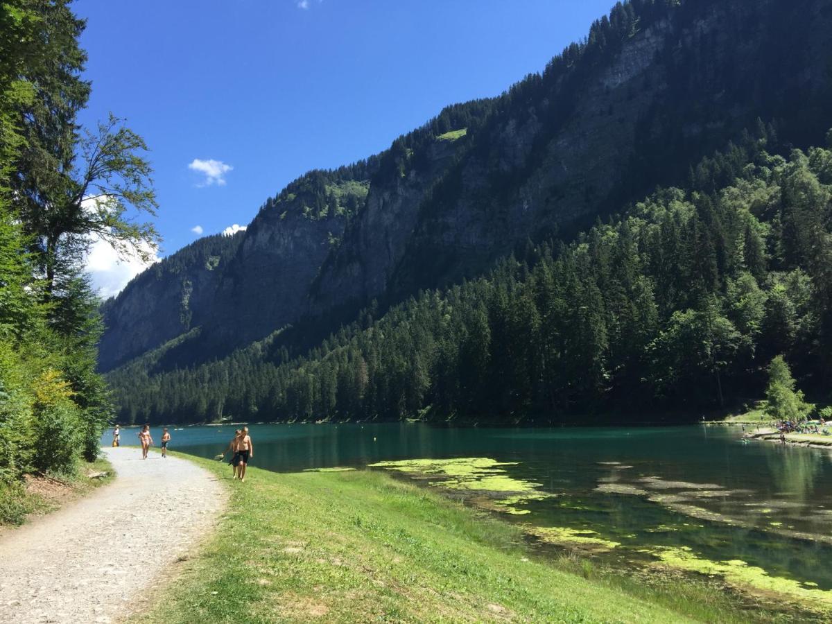Les Cimes Apartment Samoëns Екстериор снимка